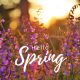 Spring Cleanse: An Ayurvedic Approach