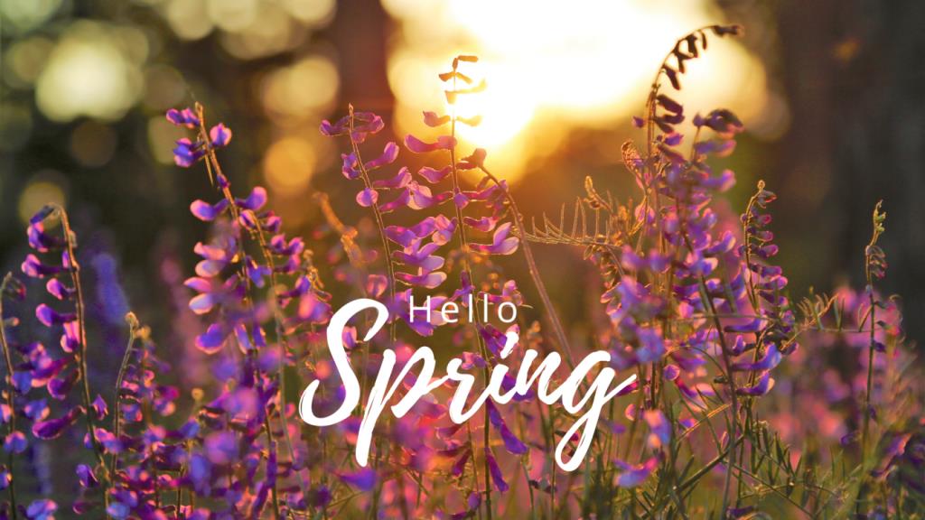 Spring Cleanse: An Ayurvedic Approach